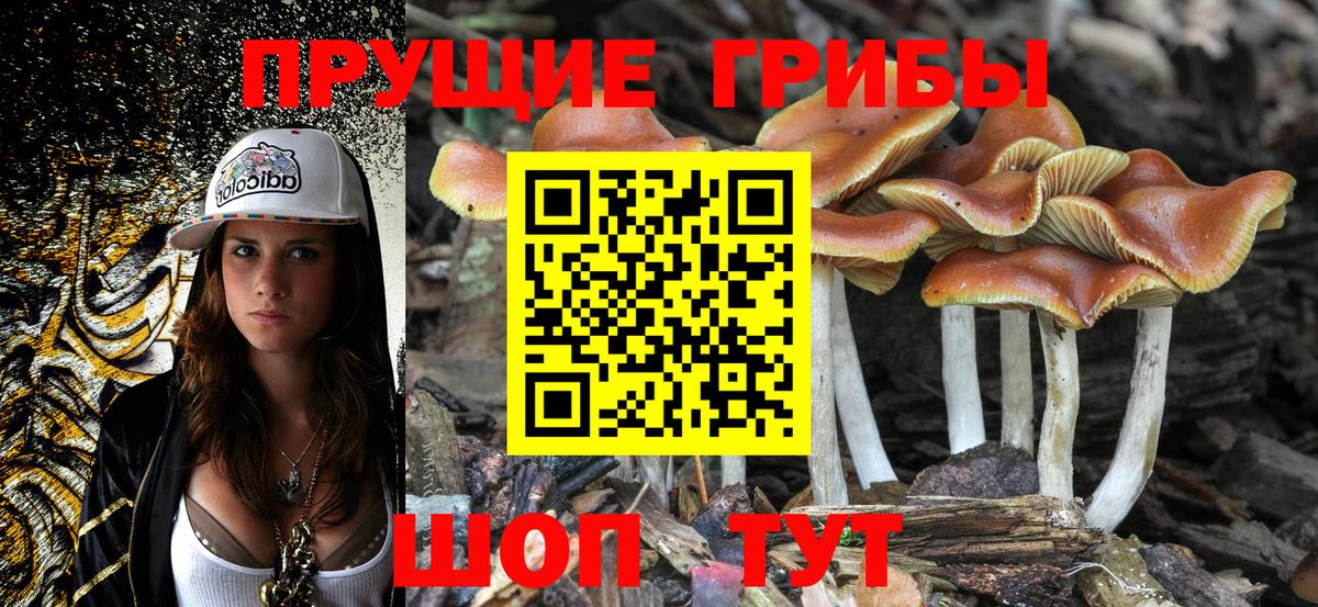 Ликино-Дулёво  Псилоцибиновые грибы GOLDEN TEACHER  Галлюциногенные грибы мицелий  Вход с VPN 
