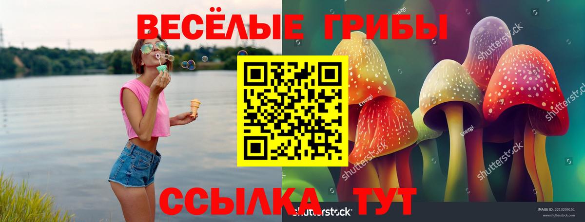Галлюциногенные грибы Cubensis Ликино-Дулёво